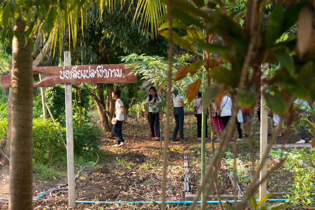 Baantip Suantong Hotel Amphawa Exterior photo